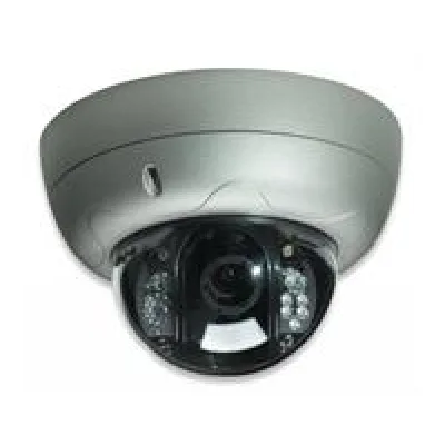 Intellinet PRO Serie R Network Dome