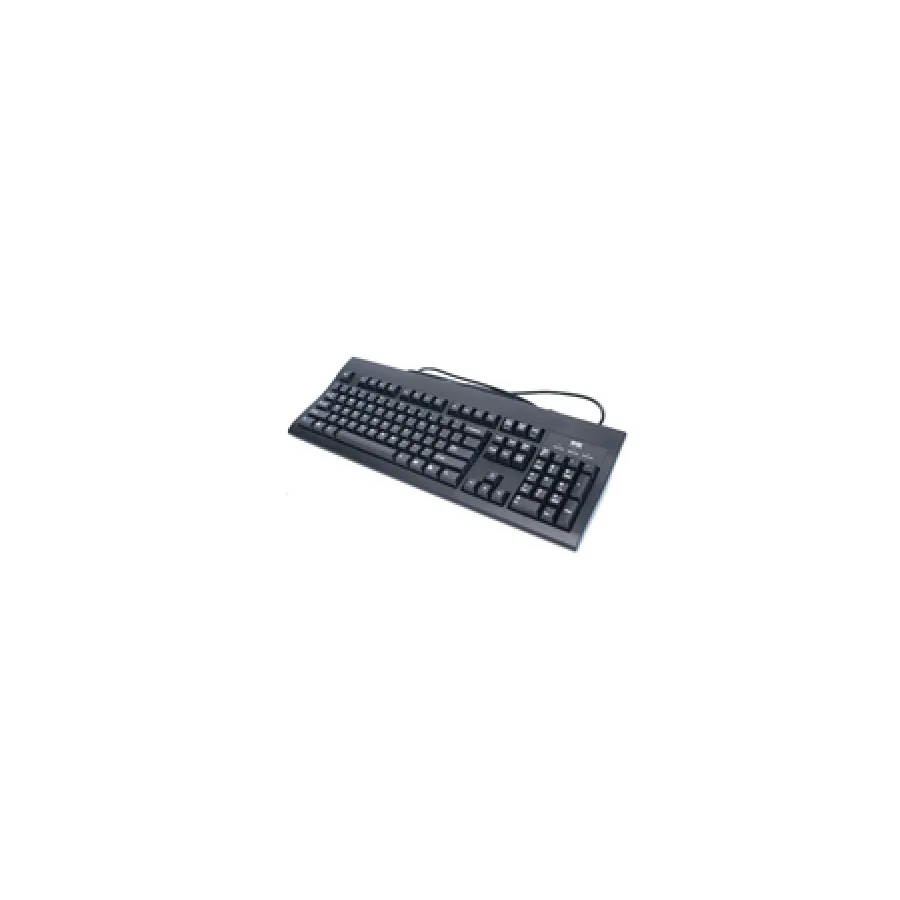 Dell Wyse Enhanced Portuguese Version PS2 Keyboard