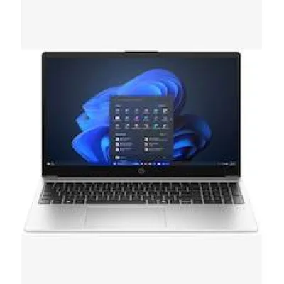 HP 250R G10 Intel Core 7 Professional Laptop