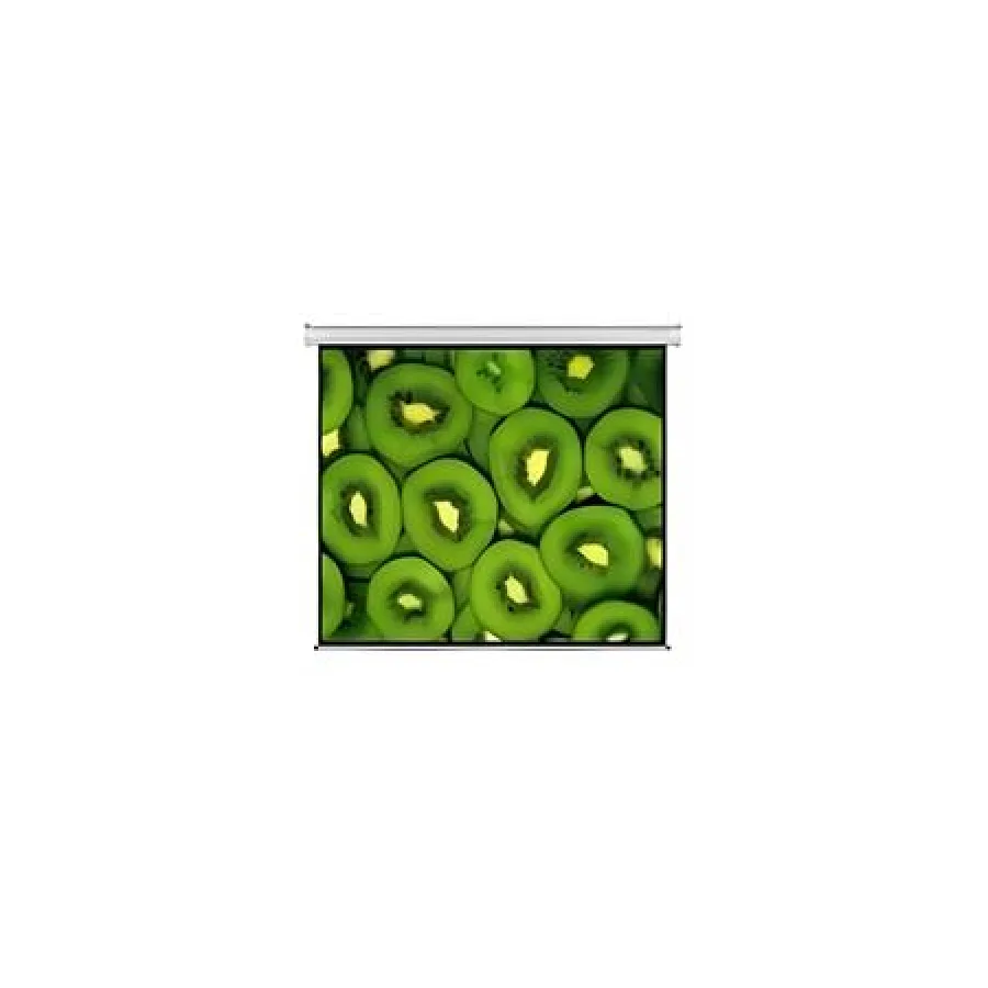 Esquire Electric Projector Screen 300 X 169