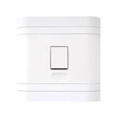Lesco 50A 2 Pole Flush Isolator Switch