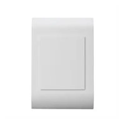 Lesco Pipelli Blank Cover Plate